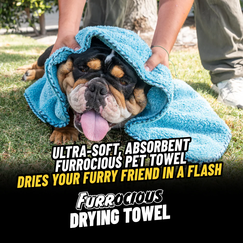 Pets Bundle - Image 2